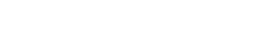 Salomon logo